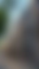 DSC04421.jpg
