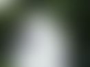 DSC00420.jpg