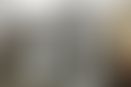 184940817-49ef9d0c-23a6-49aa-962a-191f5862f3b7.jpg