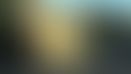 DSC04422.jpg