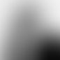Dieter Rams