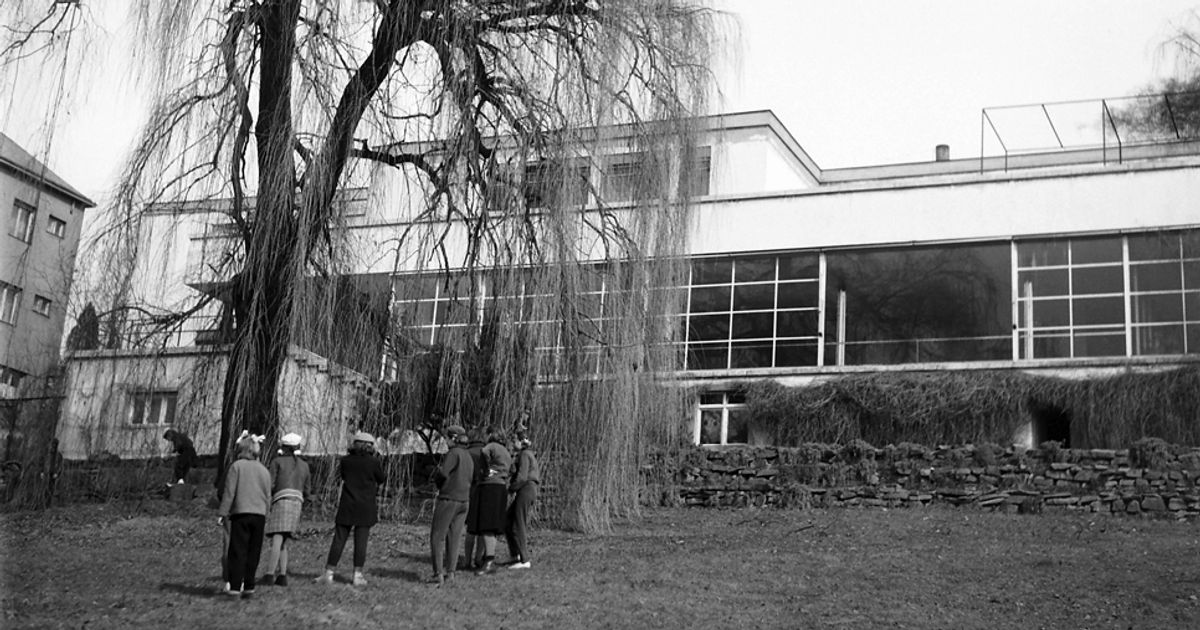 洋書 Mies van der Rohe: Vila Tugendhat Brno AD Classics: Villa Tugendhat / Mies van der Rohe | ArchDaily