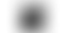 New-Project-18.jpg