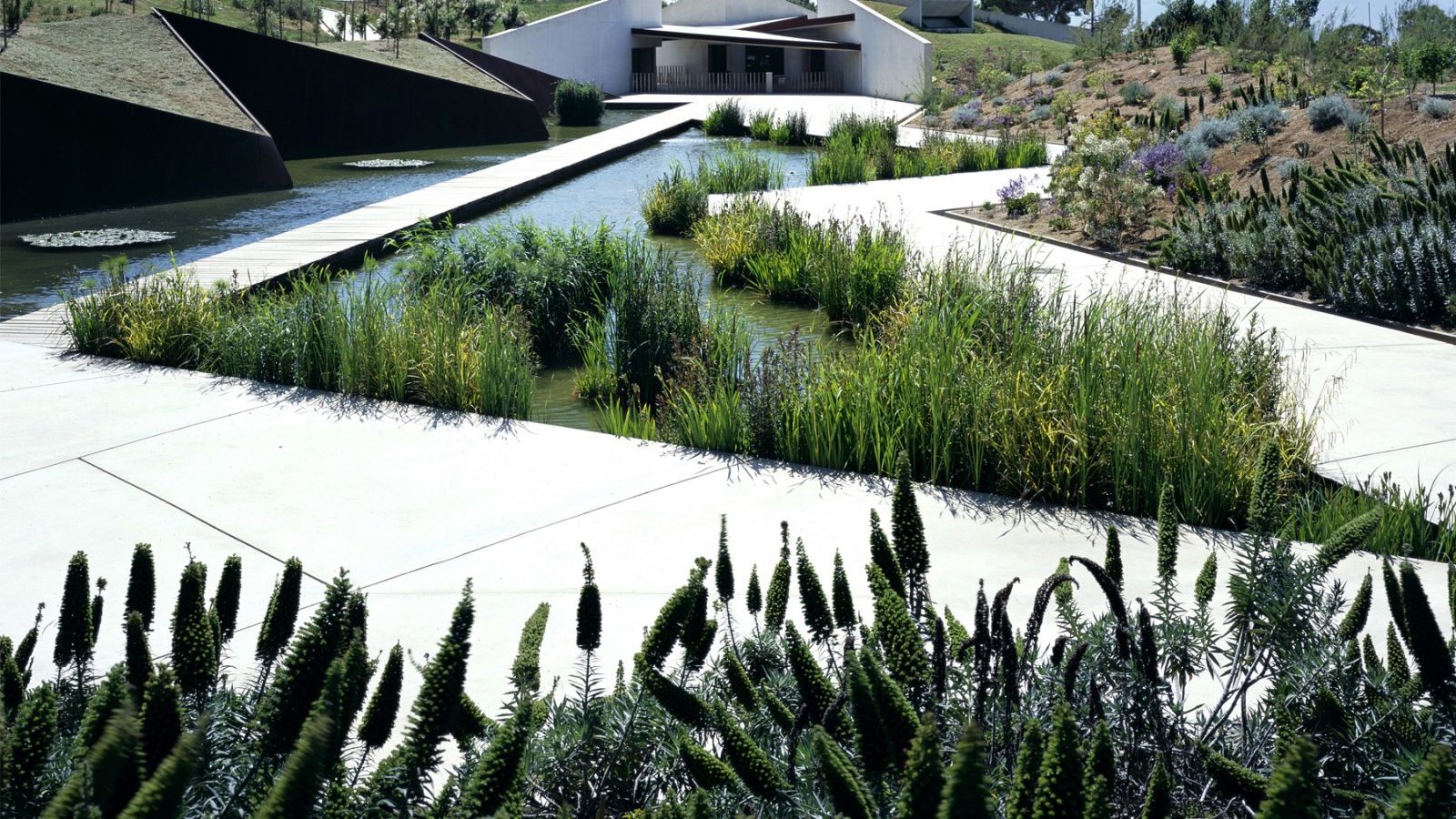 Barcelona Botanical Garden | Architectuul