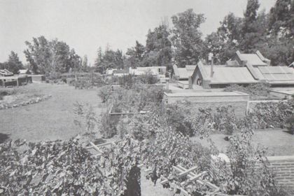 Las Alamedas Community