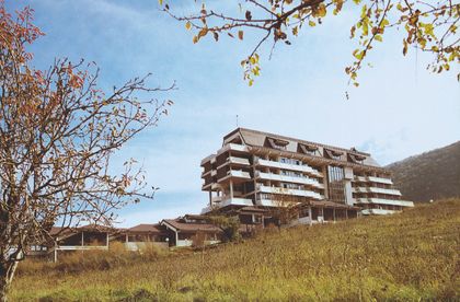 Institute for the Rehabilitation