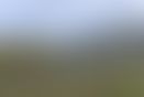 DSC_5307.jpg