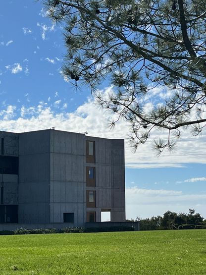 Salk Institute 