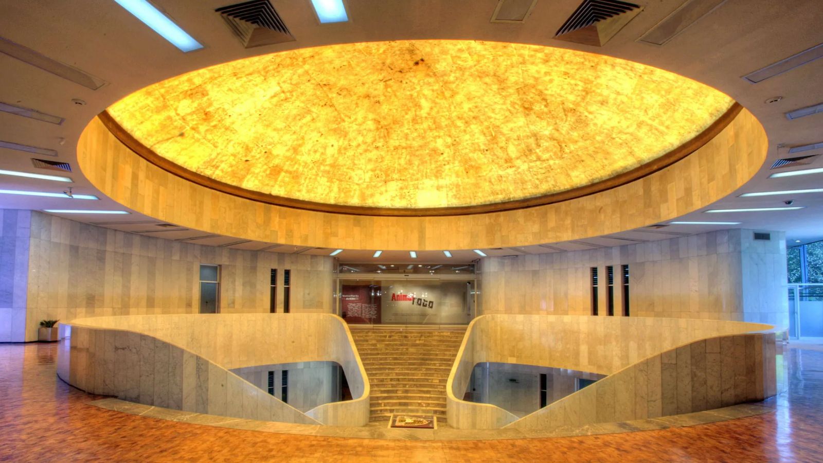 Museo de Arte Moderno (MAM)