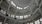 20180802-132633-largejpg.jpg